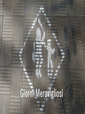 cover image of Giorni Meravigliosi
